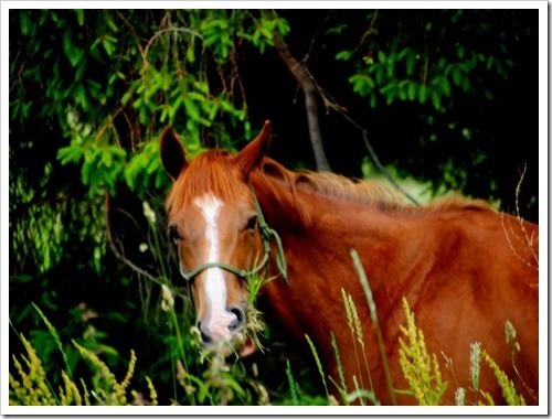 23 July 7 20-07-2013 10-20-45