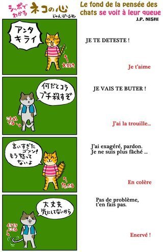 L'affaire des PC contr�l�s � distance