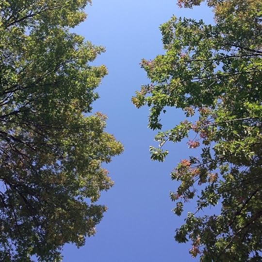 A beautiful Fall day.