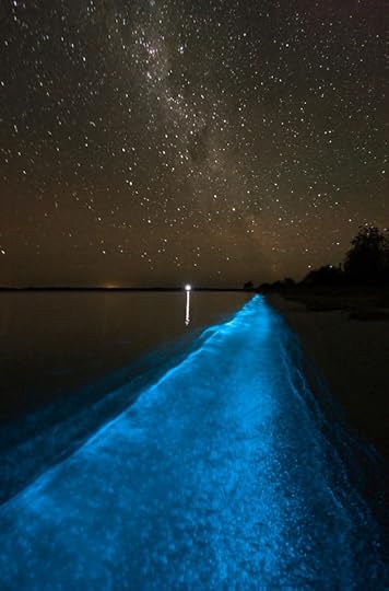 blue tide