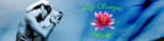 Lily Sawyer Books Blog