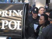 Springfield arrests 7