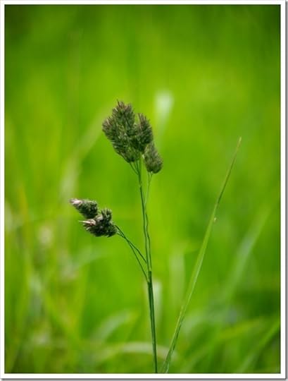 2 July 1 02-07-2013 13-38-55