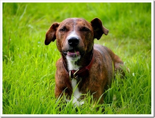 2 July 8 02-07-2013 13-41-52