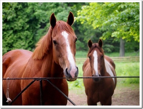 2 July 10 02-07-2013 13-25-41