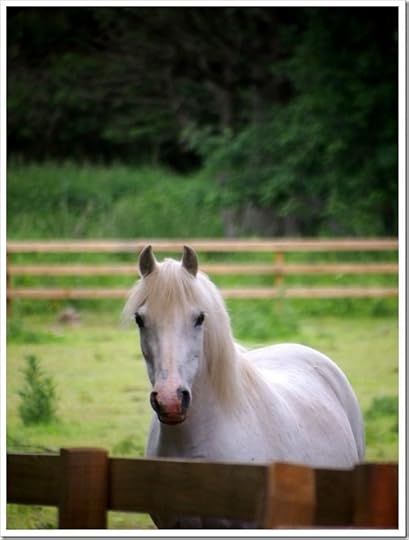 2 July 10 02-07-2013 13-28-33