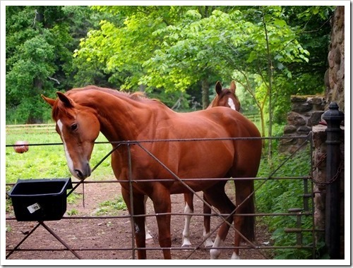 2 July 11 02-07-2013 13-29-42