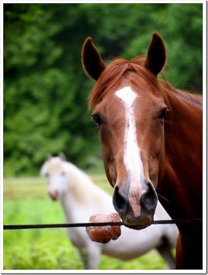 2 July 12 02-07-2013 13-27-28