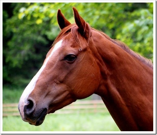 2 July 14 02-07-2013 13-28-40