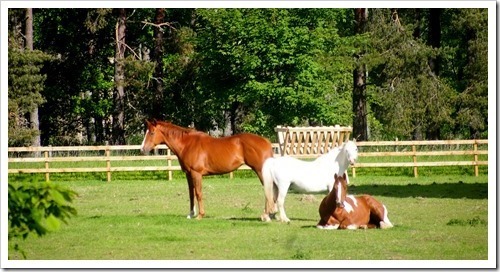 1 July 1 14-06-2013 07-59-09