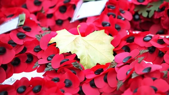 83644953-poppies_getty.jpg