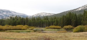 tuolumne 8-13 098sm