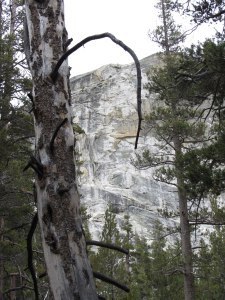 tuolumne 8-13 087sm