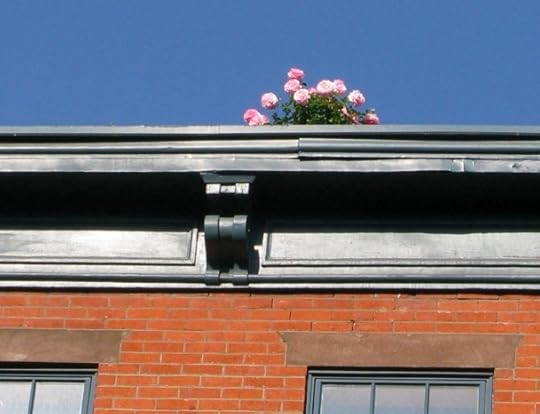Flowers on Bleecker Street Roof