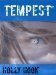 Tempest (Destroyers #1) by Holly Hook
