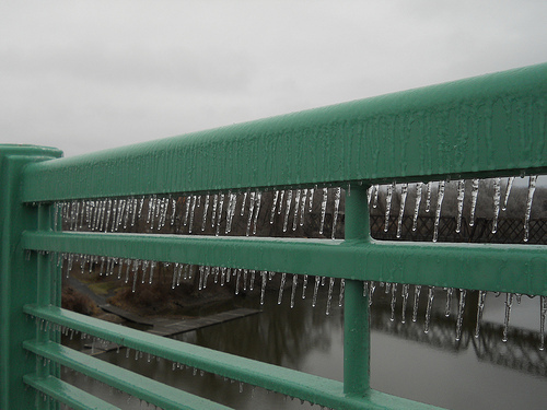 bridge eyelashes