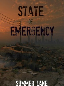 State of Emergency by Summer Lane