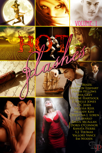 100836-20121209-001_HotFlashes