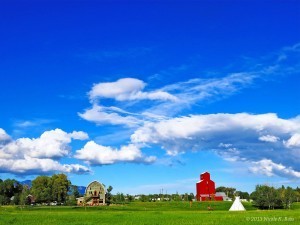 IMG_1267_Edit_CopyrightRoss