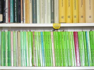 800px-Planungsliteratur