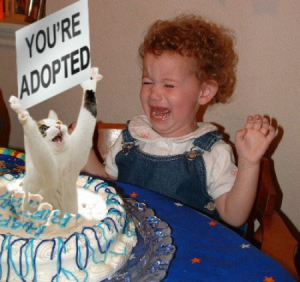Photo copyright http://catsandothernonsense.wordpress.com/