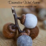 wool acorns