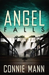Angel Falls by Connie Mann.jpg