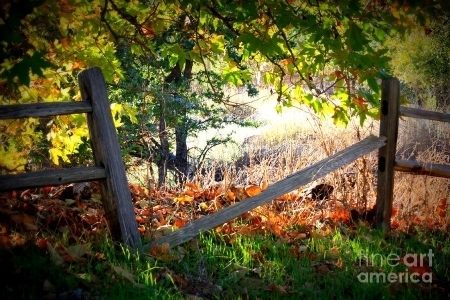  photo 32c1103f-fff9-4396-b228-091d95b3c2fb_zps9d00e1d5.jpg