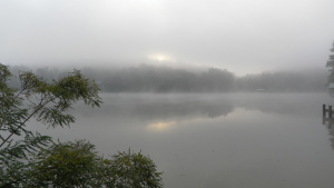 SAMSUNG DIGITAL CAMERA