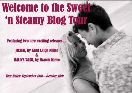 Sweet 'n Steamy Blog Tour new