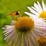 Macro Monday