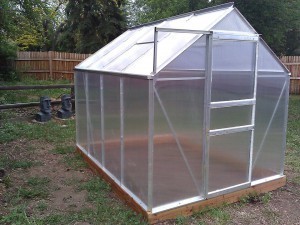 greenhouse