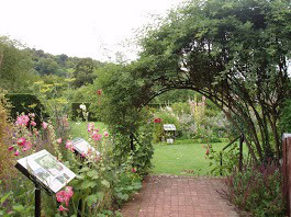 Gilbert White's Garden