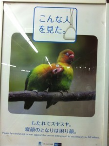 for blog sleeping bird