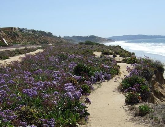  photo BluffsatDelMar-LittleConversations_zpsbe88c9b0.jpg