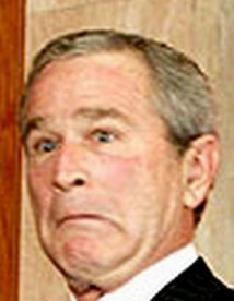 bush26_08
