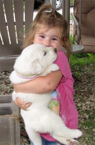Tbone I want this one Ok he is yours