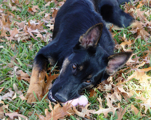 Uschi with toy