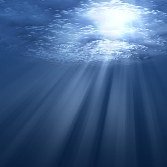 24 - Dolphin Way - Shades of Blue