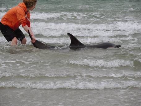 NWS_20130520_ANA_012_27652937_I1