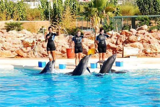 Dolphin park