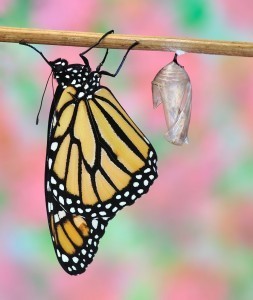 Featured on Friday – Guest Post: Imperfectly, Perfectly Me! post image