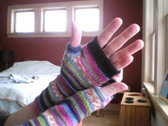 gloves