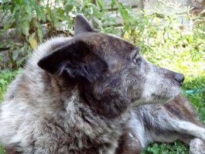 DSC00019_2