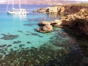 944106_10152777360230181_1914069823_n