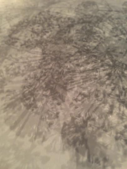 shadows