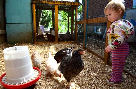 Chicken farmer