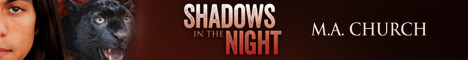 ShadowsIntheNight-Church_headerbanner