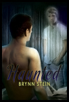 Haunted-Stein_postcard_front_DSP