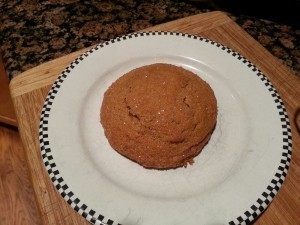 Ginger cookie experiment #1.
